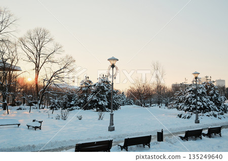 Snow covered park landscape with trees glowing in warm sunset light. The image conveys winter calm, natural beauty, and seasonal atmosphere Snow covered park landscape with trees glowing in warm sunset light. The image conveys winter calm, natural beauty, and seasonal atmosphere 135249640