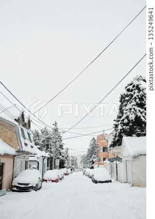 Residential street lined with parked cars is covered by fresh snow after snowfall. The scene shows quiet urban life during winter weather conditions Residential street lined with parked cars is covered by fresh snow after snowfall. The scene shows quiet urban life during winter weather conditions 135249641