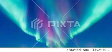 Spectacular Aurora Borealis dancing across the starry night sky.  135249809