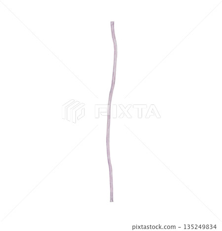 Hand-painted watercolor clematis stem on a white background. For printing on cards, textiles, and tableware 135249834