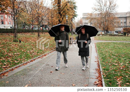 Two men walk along a park path covered with autumn leaves, holding umbrellas on a rainy day. The scene reflects the concept of companionship and everyday movement Two men walk along a park path covered with autumn leaves, holding umbrellas on a rainy day. The scene reflects the concept of companionship and everyday movement 135250530