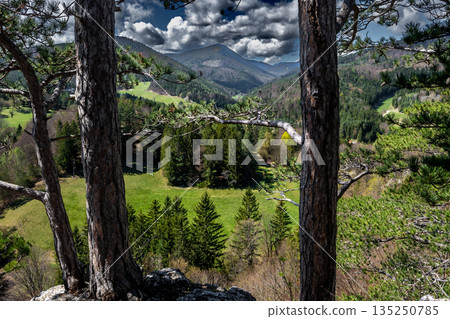 Rural Summer Landscape With Forest, Mountains And Green Pastures In Austria Rural Summer Landscape With Forest, Mountains And Green Pastures In Austria 135250785