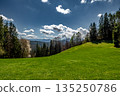 Rural Summer Landscape With Forest And Green Pastures In Austria 135250786
