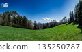 Rural Summer Landscape With Forest And Green Pastures In Austria 135250787