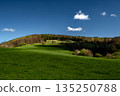 Rural Summer Landscape With Forest And Green Pastures In Austria 135250788