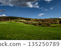 Rural Summer Landscape With Forest And Green Pastures In Austria 135250789