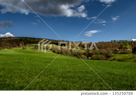 Rural Summer Landscape With Forest And Green Pastures In Austria 135250789