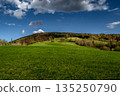 Rural Summer Landscape With Forest And Green Pastures In Austria 135250790