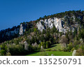 Rural Summer Landscape With Forest And Rock Formation In Austria 135250791