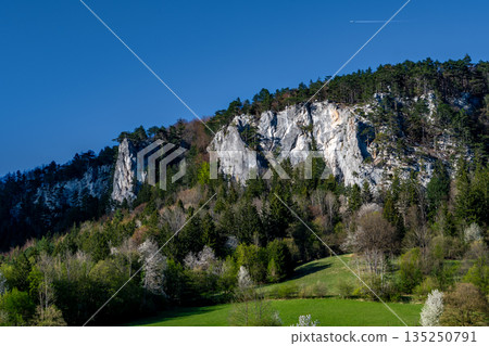 Rural Summer Landscape With Forest And Rock Formation In Austria Rural Summer Landscape With Forest And Rock Formation In Austria 135250791