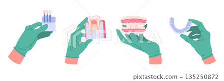 Dentist hands. Cartoon stomatologist hands in rubber gloves holding dental equipment, hands holding tools flat vector illustration set. Dentist tools in doctors palms Dentist hands. Cartoon stomatologist hands in rubber gloves holding dental equipment, hands holding tools flat vector illustration set. Dentist tools in doctors palms 135250872