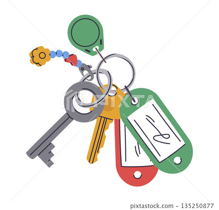 Modern door keys with keychain. Keys bunch, real estate property locking keys flat vector illustration. Cartoon house keys on white background 135250877