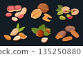 Nuts handfuls. Raw nuts mix, almond, macadamia and walnut mix, vegetarian diet organic snack flat vector illustration set. Delicious nuts 135250880