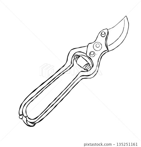 Hand drawn pruning shears secateurs garden tool minimal black line art illustration isolated on white for gardening projects Hand drawn pruning shears secateurs garden tool minimal black line art illustration isolated on white for gardening projects 135251161