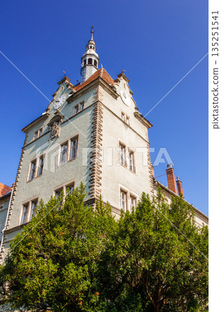 chynadiievo, transcarpathia, ukraine - 28 jul, 2013: schonborn royal palace under blue sky. heritage site in carpathians. popular tourist destination. hunting castle now a sanatorium on sunny day 135251541