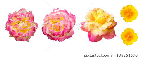 assorted rose and small blossom design elements 135251576