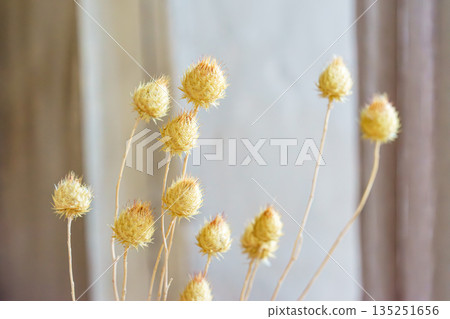 Minimal bouquet of dried yellow flowers on soft neutral background with natural light, home decor Minimal bouquet of dried yellow flowers on soft neutral background with natural light, home decor 135251656