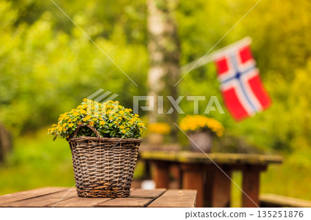 norwegian flag and green picnic site norwegian flag and green picnic site 135251876