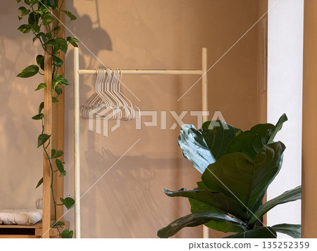 Clothing rack with empty hangers beside indoor plants near a window. Minimal wardrobe, natural light, and slow living interior mood Clothing rack with empty hangers beside indoor plants near a window. Minimal wardrobe, natural light, and slow living interior mood 135252359