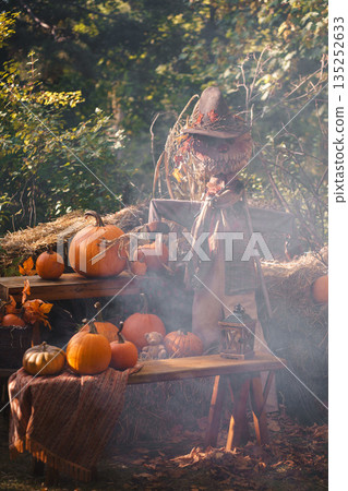 Mystical Fall Scarecrow with Pumpkin Display 135252633