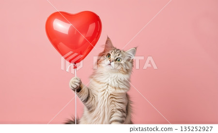 Adorable fluffy kitten holding a red heart balloon on a pink background. Cute cat celebrating Valentine's Day. Love and romance concept with copy space 135252927