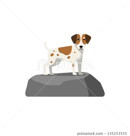 Jack Russell Terrier standing on gray rock vector illustration with white background Jack Russell Terrier standing on gray rock vector illustration with white background 135253555