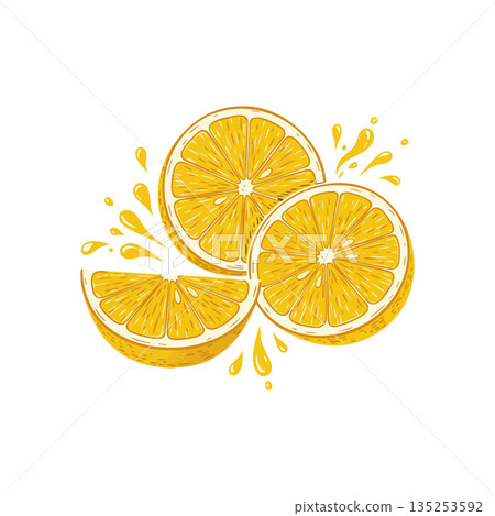 Orange Fruit Slices with Juice Splash Hand Drawn Vector Illustration in Yellow Color Palette 135253592