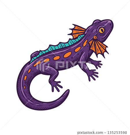Purple salamander with orange spots and blue ridge detailed vector illustration Purple salamander with orange spots and blue ridge detailed vector illustration 135253598