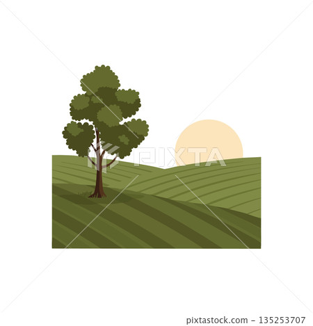 Tree on green rolling hills with sun rising over landscape vector illustration Tree on green rolling hills with sun rising over landscape vector illustration 135253707