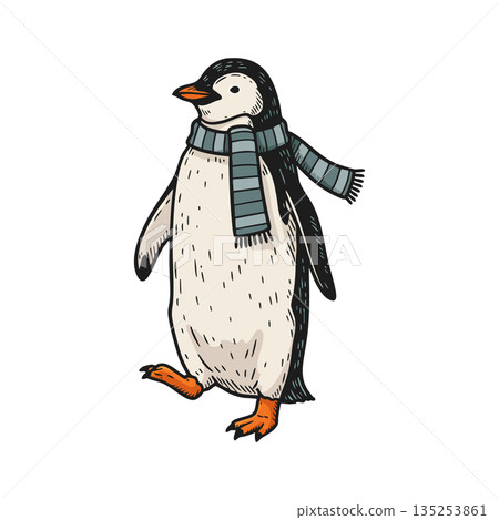 Penguin wearing striped scarf walking winter season bird illustration vector 135253861