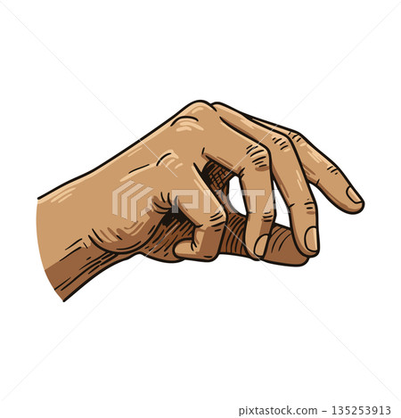 Realistic human hand with detailed fingers in relaxed gesture vector illustration design 135253913