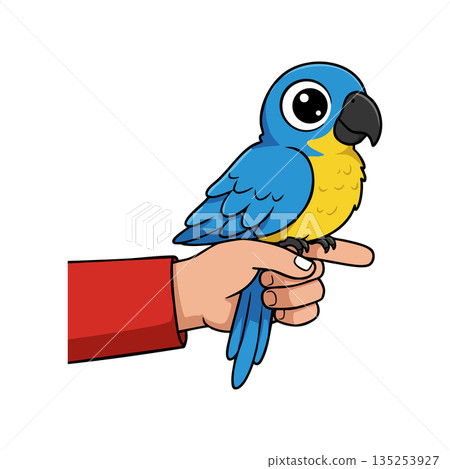 Blue and yellow parrot sitting on human hand cartoon vector illustration 135253927