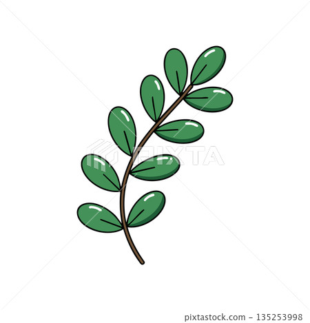Green leafy branch vector illustration with simple natural design for decoration and nature themes 135253998