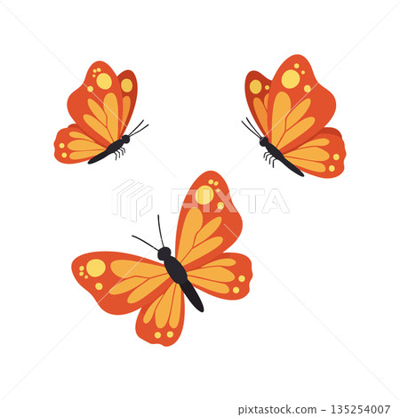 Orange butterflies flying with simple flat design vector illustration of three insects in motion Orange butterflies flying with simple flat design vector illustration of three insects in motion 135254007