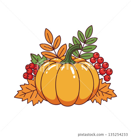 Pumpkin with autumn leaves and red berries colorful fall harvest vector illustration Pumpkin with autumn leaves and red berries colorful fall harvest vector illustration 135254233