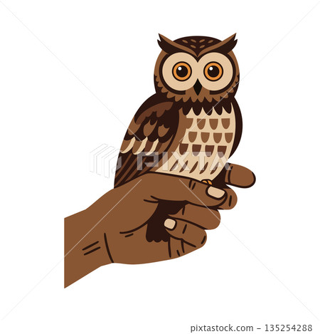 Owl perched on human hand vector illustration in brown tones with simple style 135254288