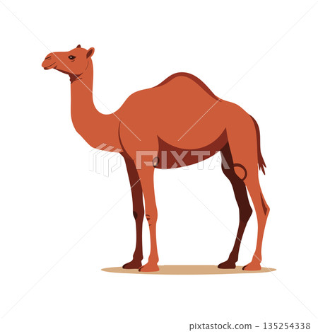 Camel standing side view brown desert animal illustration vector design Camel standing side view brown desert animal illustration vector design 135254338