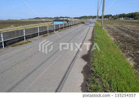 鋪好的農場道路和鄉村景觀 135254357