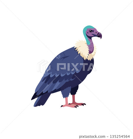 Vulture bird with blue feathers and teal head standing illustration vector 135254564