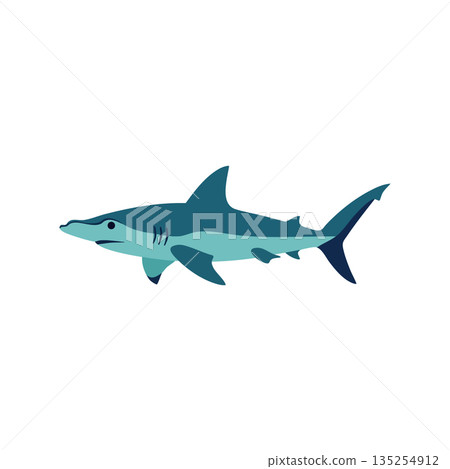 Hammerhead shark vector illustration with blue and teal colors isolated on white background sea animal design 135254912