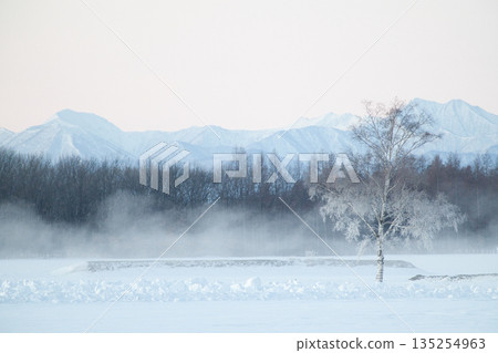 Winter's Tokachi plain Winter's Tokachi plain 135254963