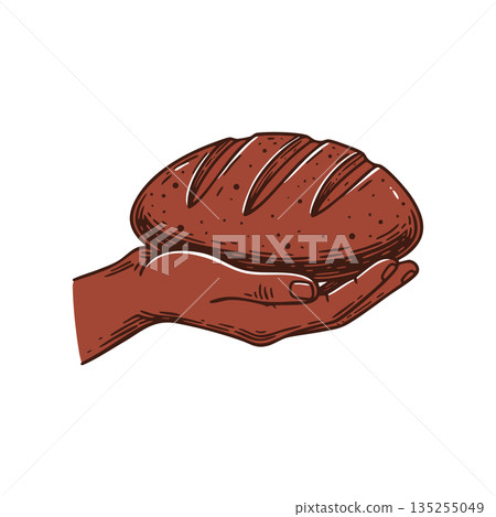 Hand holding fresh brown bread loaf vector illustration natural food concept healthy eating 135255049
