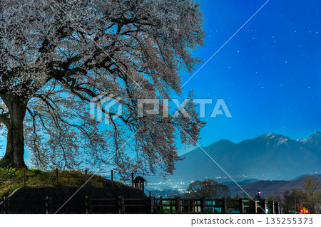 山梨郡汪塚櫻花夜景 山梨郡汪塚櫻花夜景 135255373