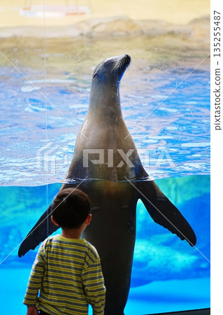 Scenery of Shimane Aquarium Aquas Scenery of Shimane Aquarium Aquas 135255487