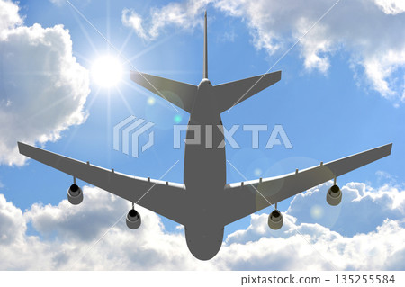 Passenger jet plane flying in the air - 3D illustration 135255584