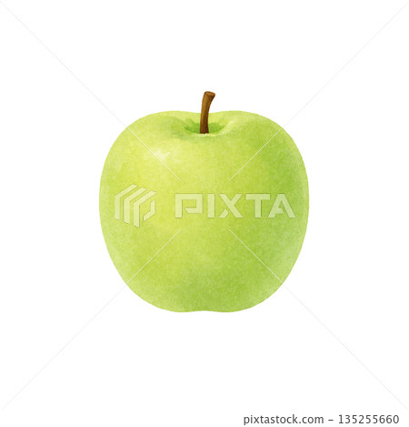 一幅用水彩繪製的青蘋果插圖 135255660