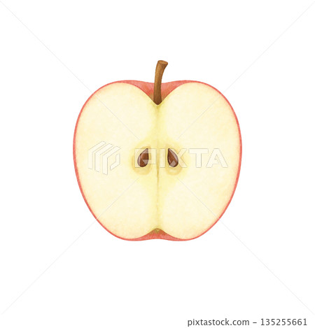 Watercolor illustration of an apple cross section Watercolor illustration of an apple cross section 135255661