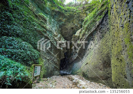 神秘的綠色洞穴和長滿青苔的岩壁——未開發的風景 135256055