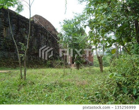 越南米森的廢墟 135256999