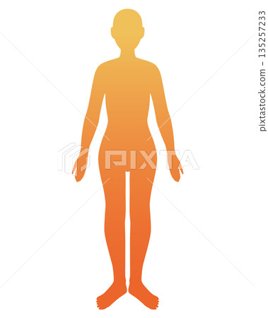 Gradient human body illustration (female, orange) 135257233